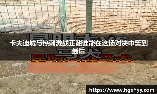 k1体育十年品牌值得信赖